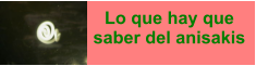 Lo que hay que saber del anisakis