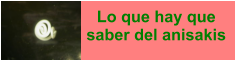 Lo que hay que saber del anisakis